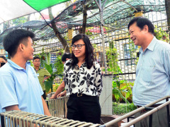 Ảnh bìa bài viết 600779