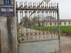 Ảnh bìa bài viết 602006
