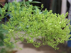 Ảnh bìa bài viết 602308