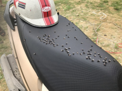 Ảnh bìa bài viết 602336