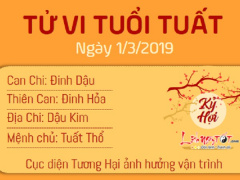 Ảnh bìa bài viết 602182