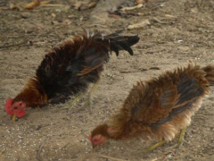 Ảnh bìa bài viết 602657