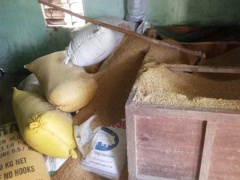 Ảnh bìa bài viết 602685