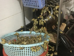 Ảnh bìa bài viết 603349