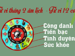 Ảnh bìa bài viết 603311