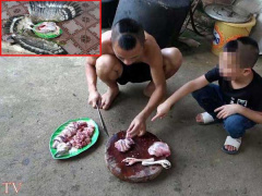 Ảnh bìa bài viết 603585