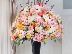 Ảnh bìa bài viết 603683