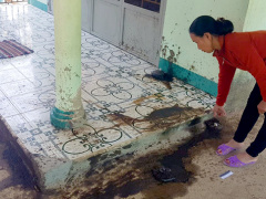 Ảnh bìa bài viết 604098