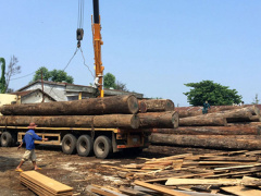 Ảnh bìa bài viết 604155