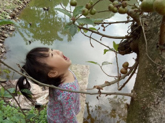 Ảnh bìa bài viết 604248