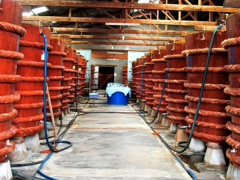 Ảnh bìa bài viết 604426
