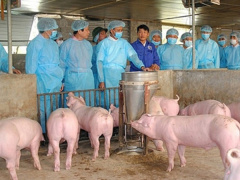 Ảnh bìa bài viết 604663