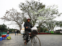 Ảnh bìa bài viết 604510