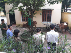 Ảnh bìa bài viết 604695