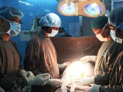 Ảnh bìa bài viết 604849