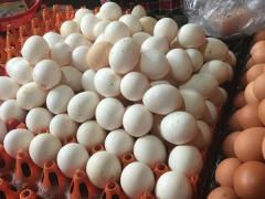 Ảnh bìa bài viết 604689