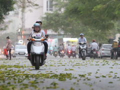 Ảnh bìa bài viết 605123