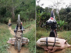 Ảnh bìa bài viết 605501