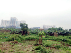 Ảnh bìa bài viết 606012
