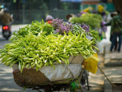 Ảnh bìa bài viết 606466