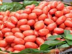 Ảnh bìa bài viết 606608