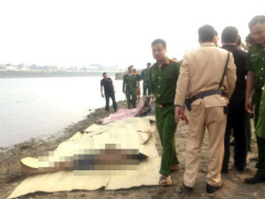 Ảnh bìa bài viết 606679