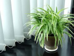 Ảnh bìa bài viết 606882