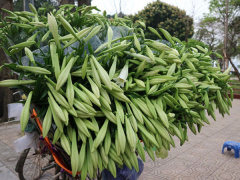 Ảnh bìa bài viết 606781