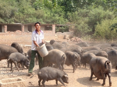 Ảnh bìa bài viết 606836
