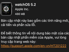 Ảnh bìa bài viết 607997