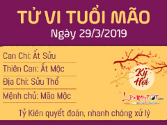 Ảnh bìa bài viết 608201
