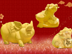 Ảnh bìa bài viết 608730
