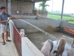 Ảnh bìa bài viết 609445