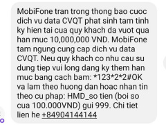 Ảnh bìa bài viết 609857