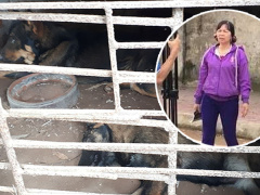 Ảnh bìa bài viết 609914