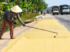 Ảnh bìa bài viết 609734