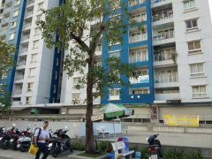 Ảnh bìa bài viết 610371