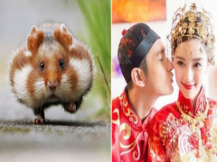 Ảnh bìa bài viết 610847