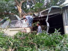 Ảnh bìa bài viết 610983
