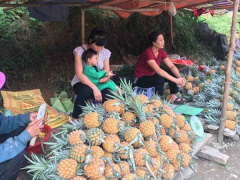 Ảnh bìa bài viết 610856