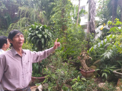 Ảnh bìa bài viết 611173