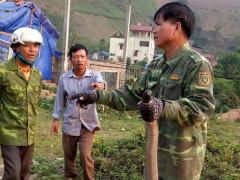 Ảnh bìa bài viết 611048