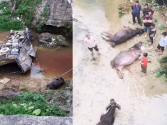 Ảnh bìa bài viết 611156