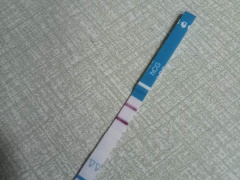 Ảnh bìa bài viết 611523