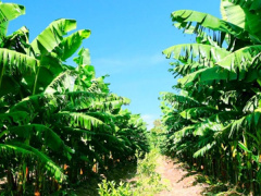 Ảnh bìa bài viết 611989