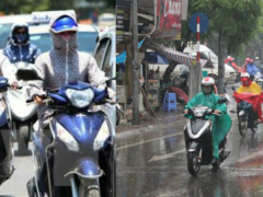 Ảnh bìa bài viết 611962