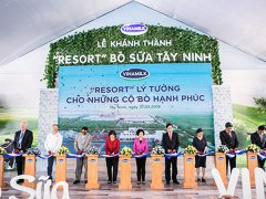 Ảnh bìa bài viết 612069