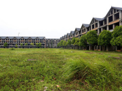 Ảnh bìa bài viết 612196