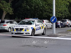 Ảnh bìa bài viết 612132