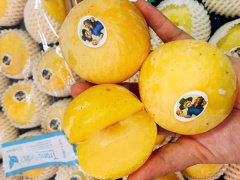 Ảnh bìa bài viết 612270